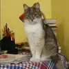 Отзыв от Варвара Макеева